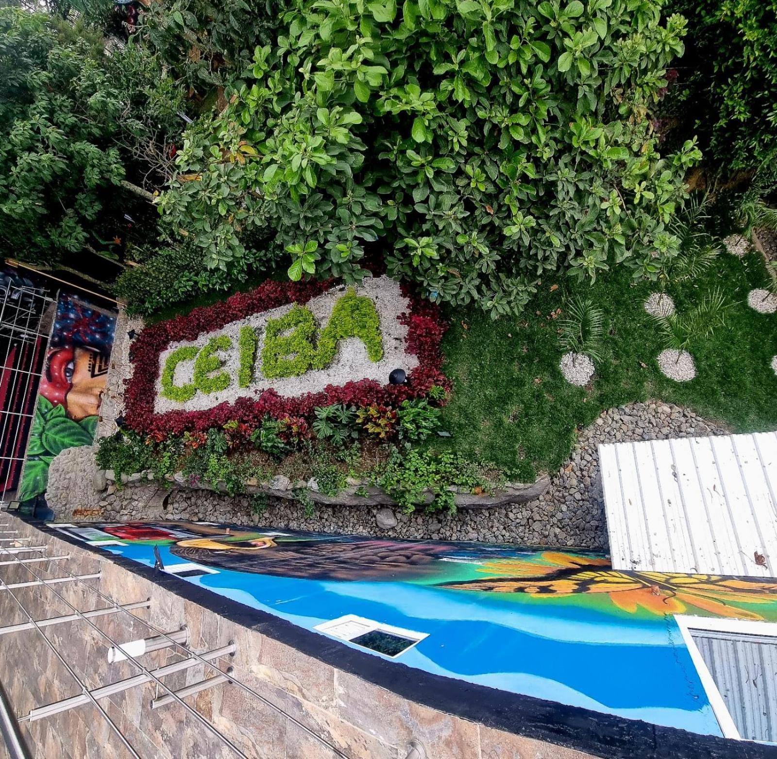 Ayenda Ceiba Rooms 페레이라 외부 사진